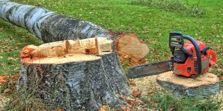 Best Tree and Shrub Care  in Elverson, PA