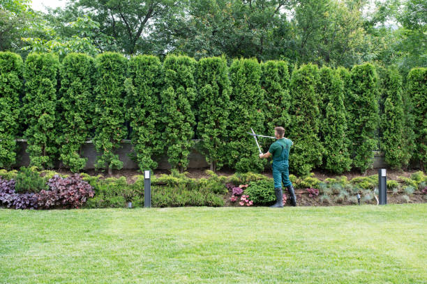 Best Pest Control for Lawns  in Elverson, PA